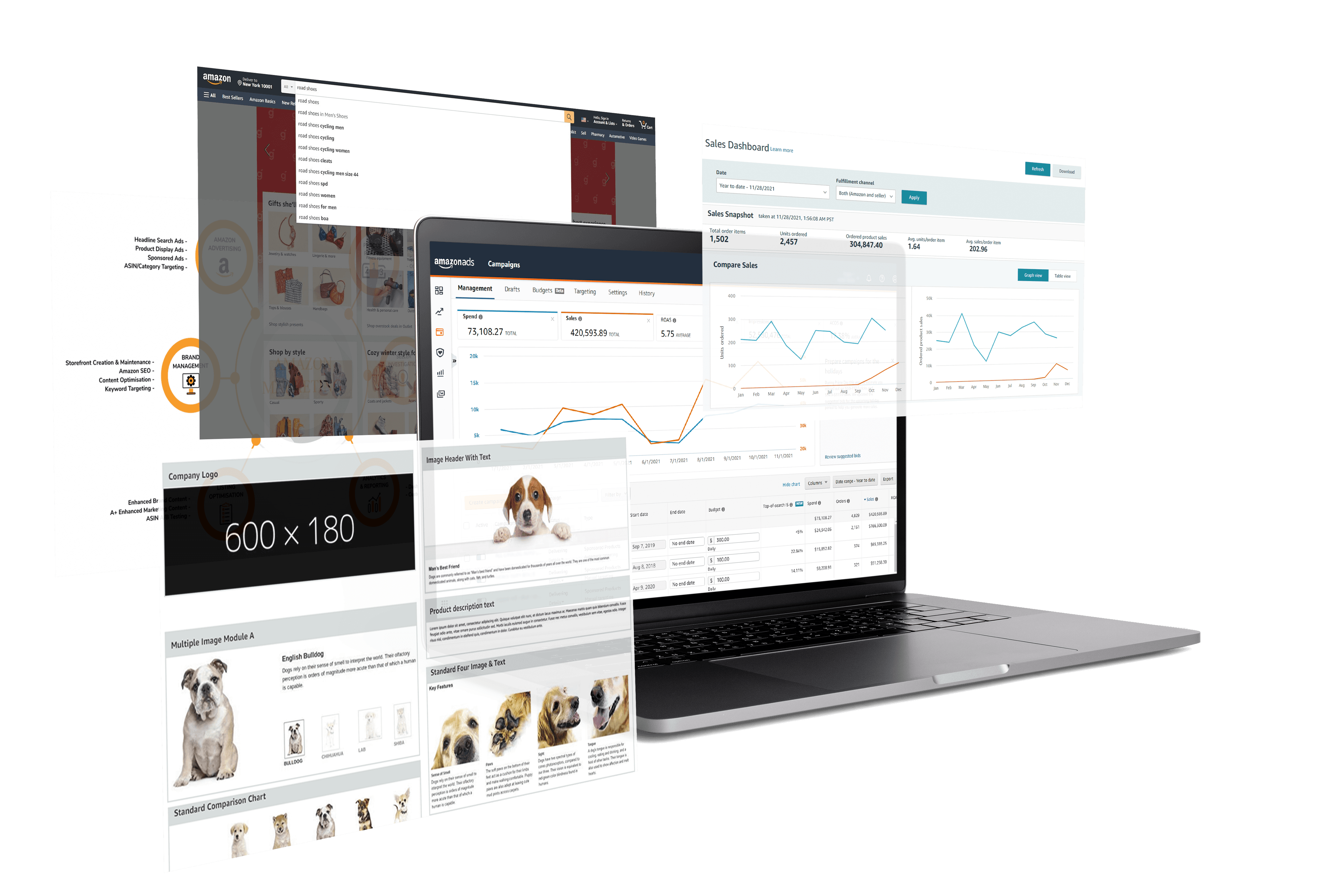 Unparalleled Expertise, Tailored for You