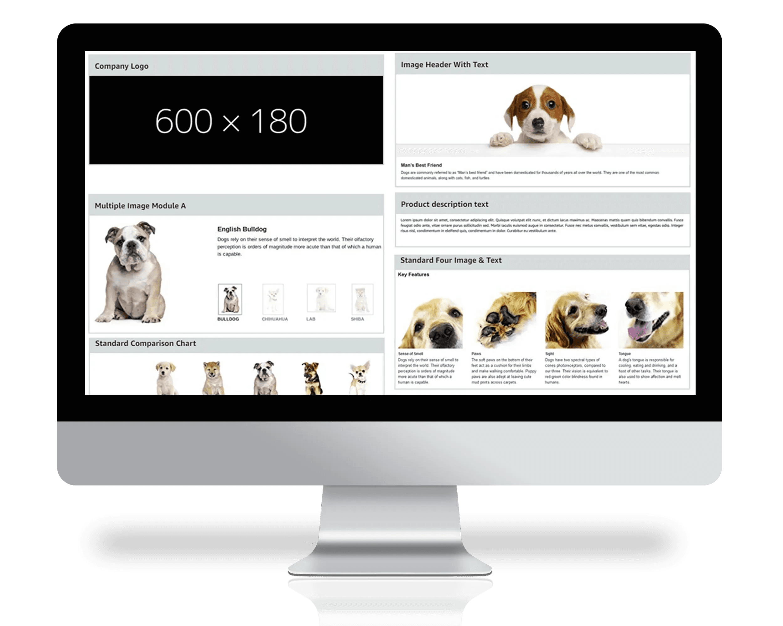 Amazon store page template opened on computer screen