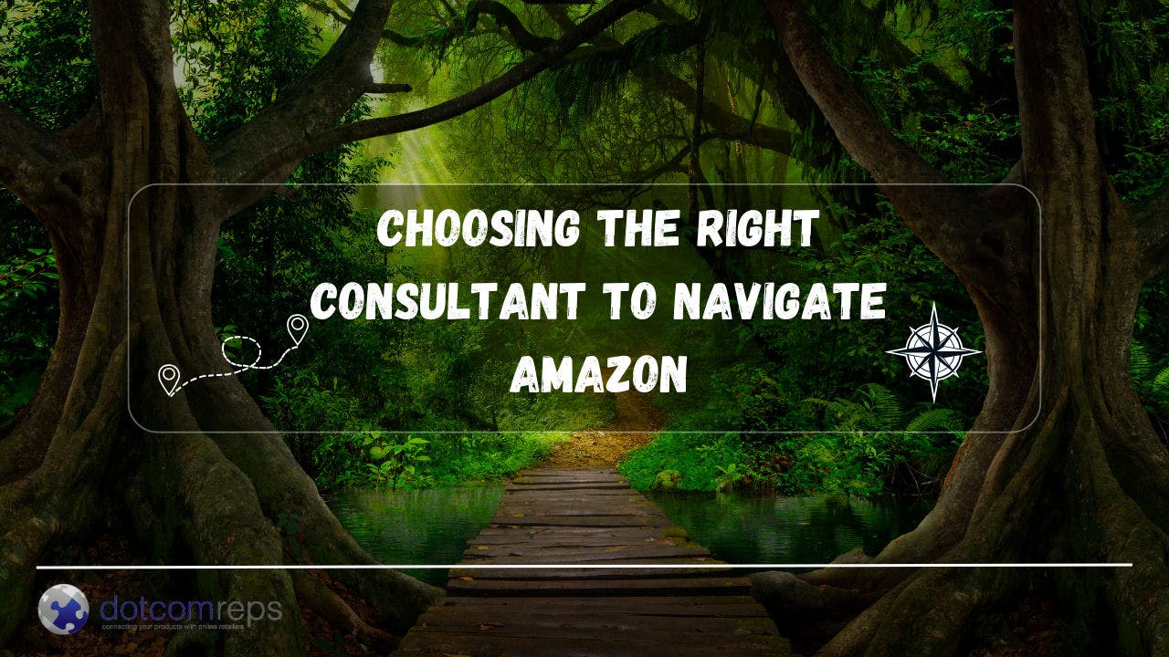 Choosing The Right Consultant To Navigate Amazon.png